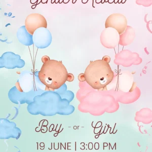 Gender Reveal Invitation
